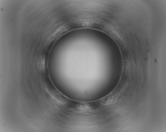 X0000089860262200706281258