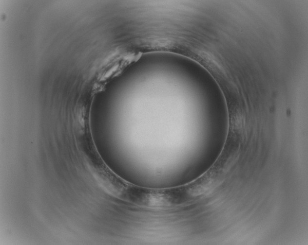 X0000089860264200706281258