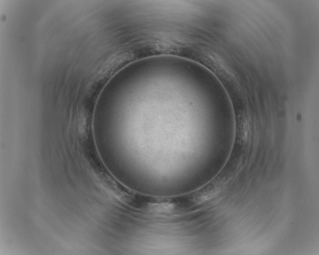 X0000089860266200706281258