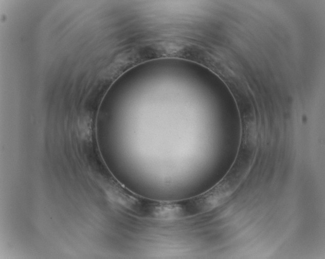 X0000089860274200706281258