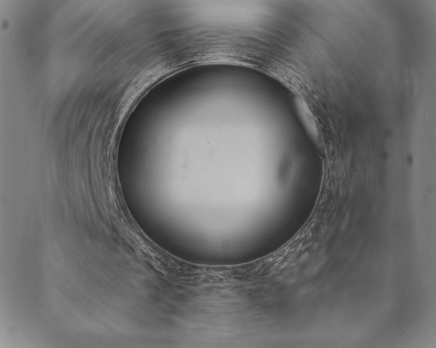 X0000089860289200706281258
