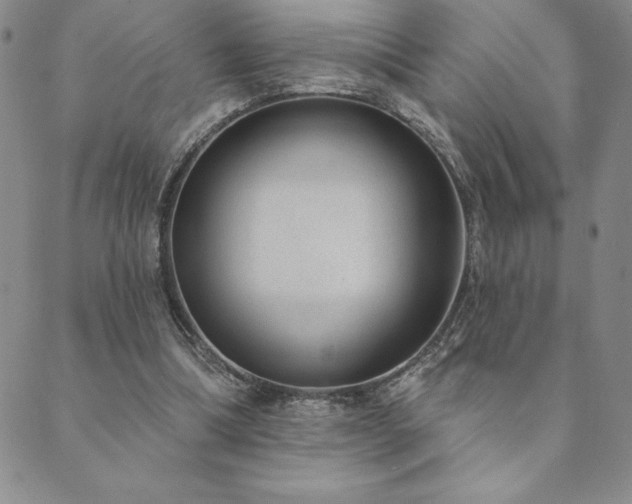 X0000089860298200706281257