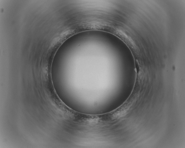 X0000089860306200706281257