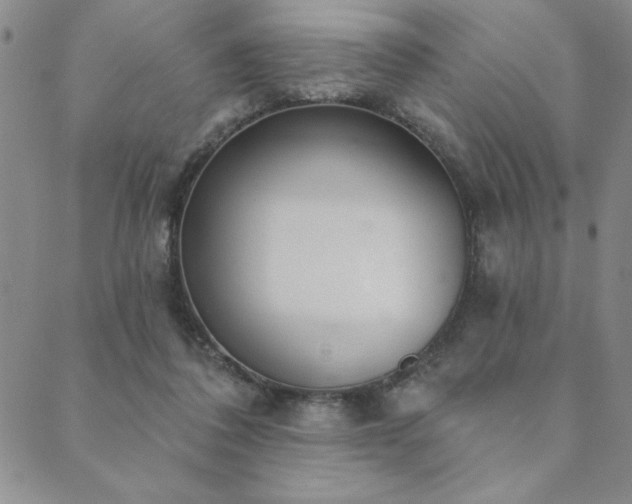 X0000089860308200706281257