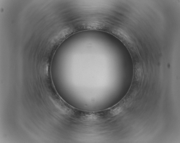 X0000089860310200706281257