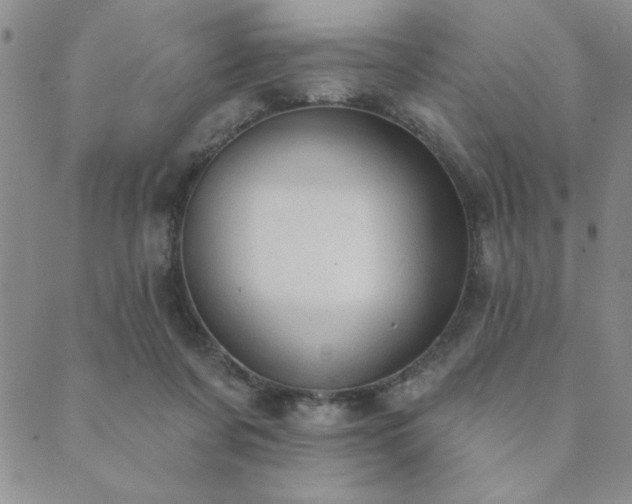 X0000089860311200706281257