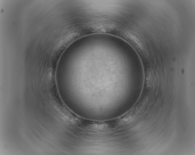 X0000089860314200706281257