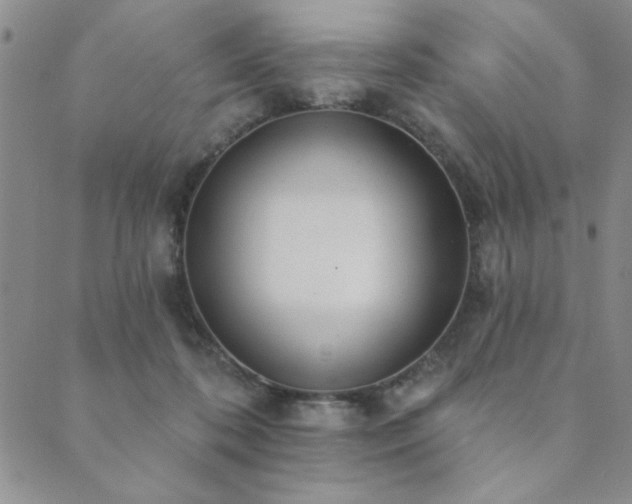 X0000089860316200706281257