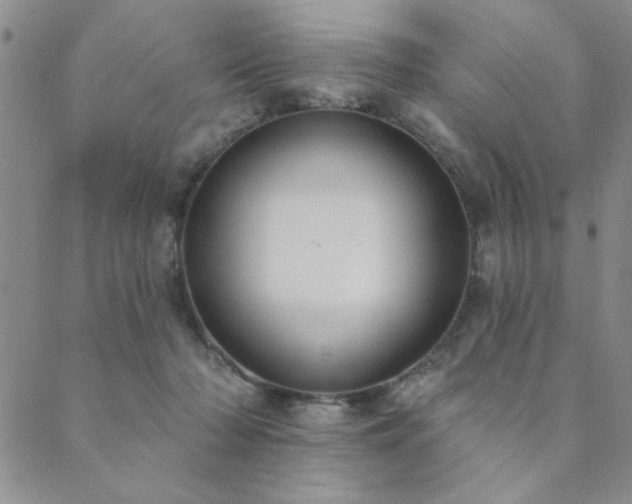 X0000089860318200706281257