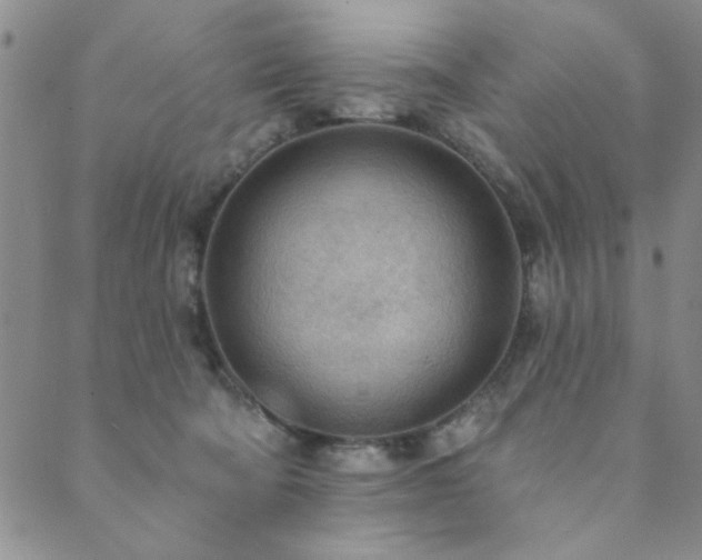 X0000089860322200706281257