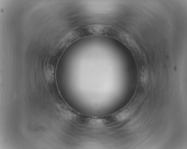 X0000089860332200706281257
