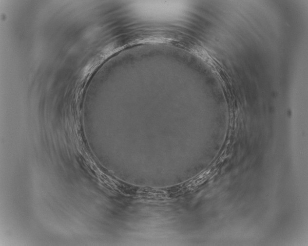 X0000089860337200706281256