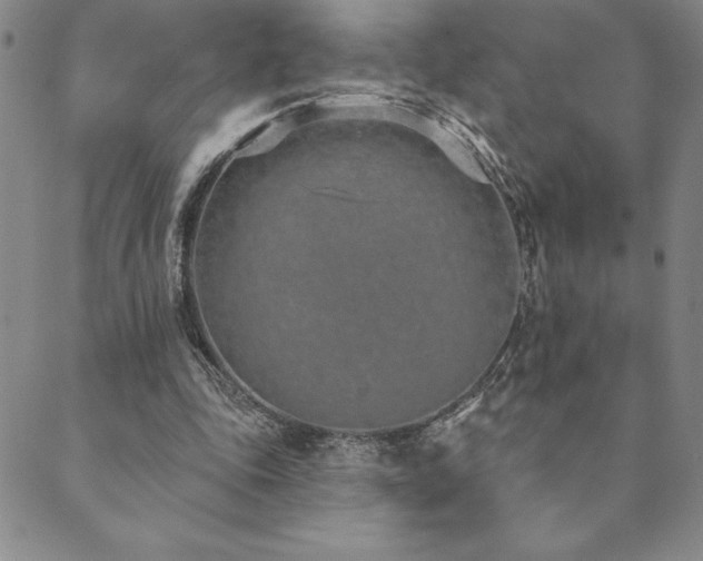 X0000089860343200706281256