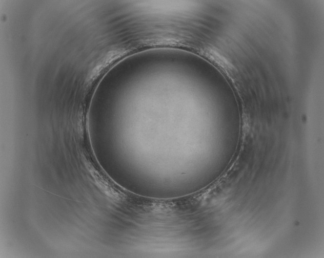 X0000089860345200706281256