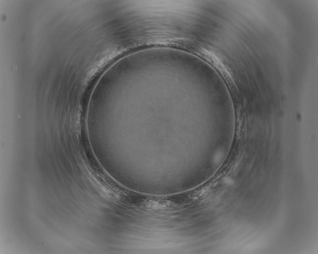 X0000089860346200706281256