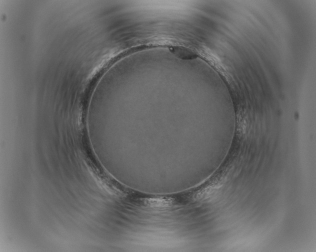 X0000089860347200706281256