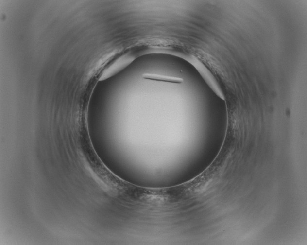 X0000089860352200706281256