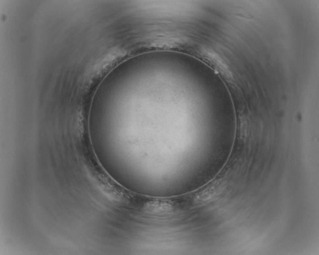 X0000089860354200706281256
