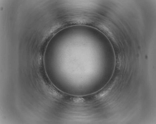 X0000089860355200706281256