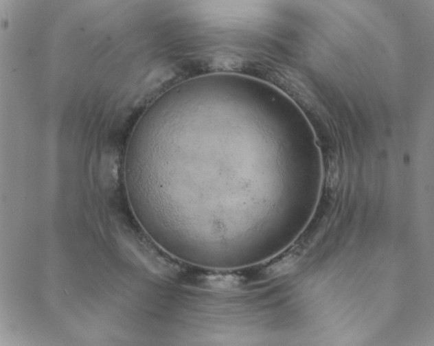 X0000089860363200706281256