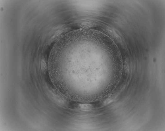 X0000089860371200706281257