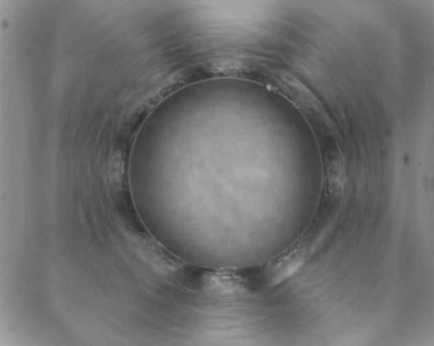 X0000089860372200706281257