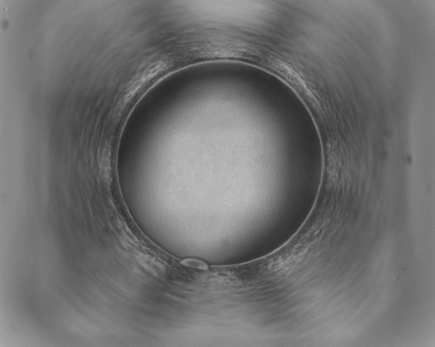 X0000089860386200706281256