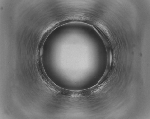 X0000089860388200706281256