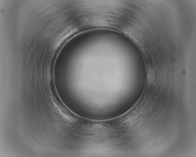 X0000089860390200706281256