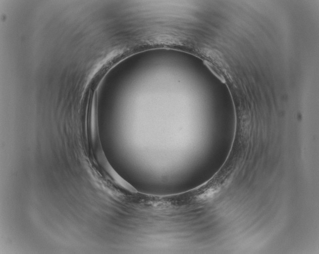 X0000089860395200706281256