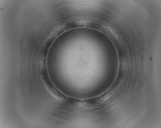 X0000089860408200706281256