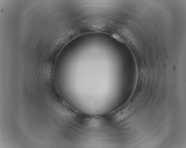 X0000089860412200706281256