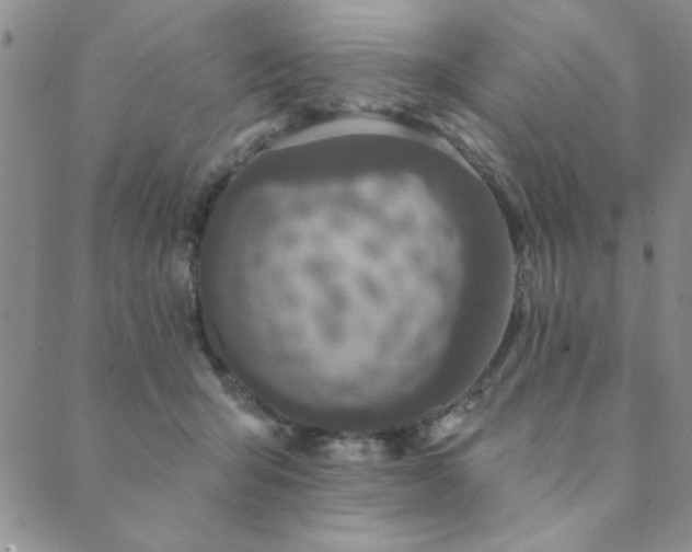 X0000089860415200706281256