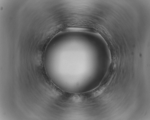 X0000089860416200706281256