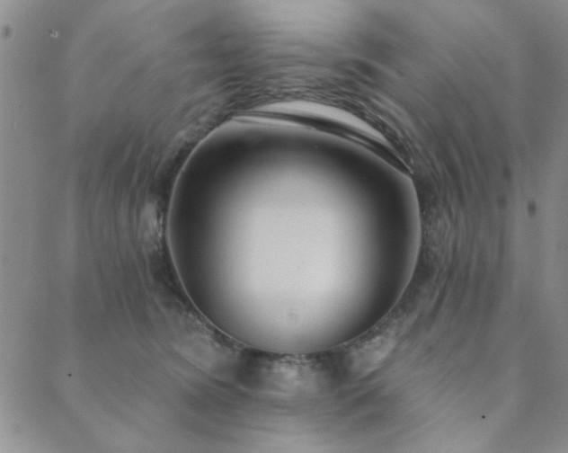 X0000089860420200706281255