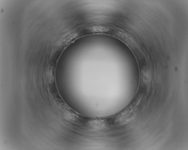 X0000089860422200706281255