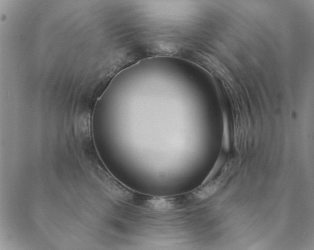 X0000089860425200706281255