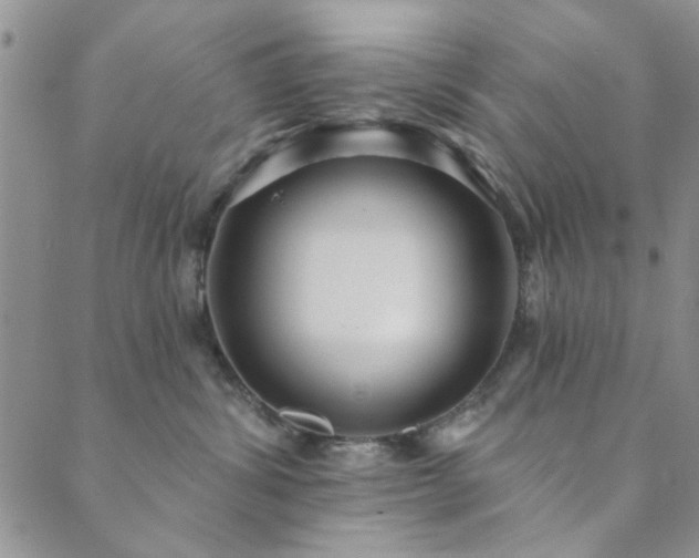 X0000089860428200706281255