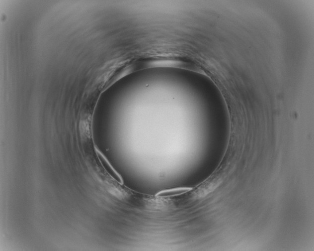 X0000089860432200706281255