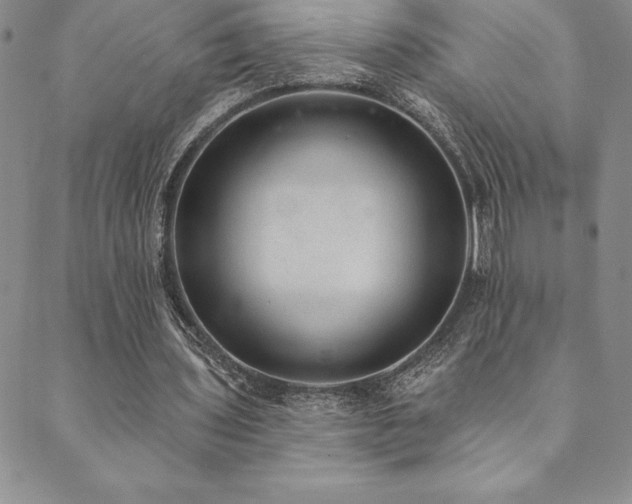 X0000089860435200706281254