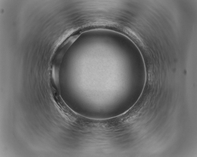X0000089860436200706281255