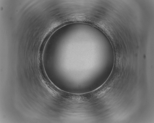 X0000089860439200706281255