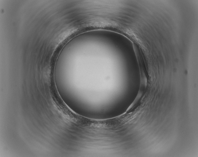 X0000089860440200706281255