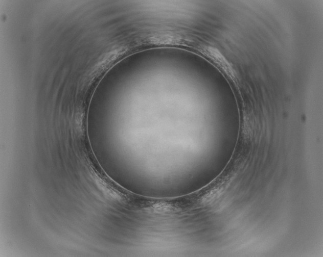 X0000089860441200706281255