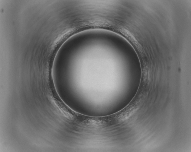 X0000089860442200706281255