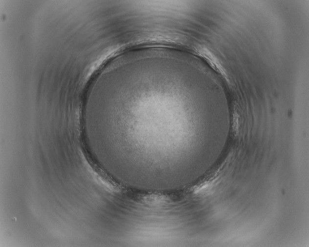 X0000089860444200706281255