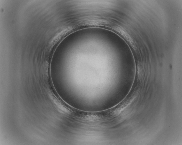 X0000089860445200706281255