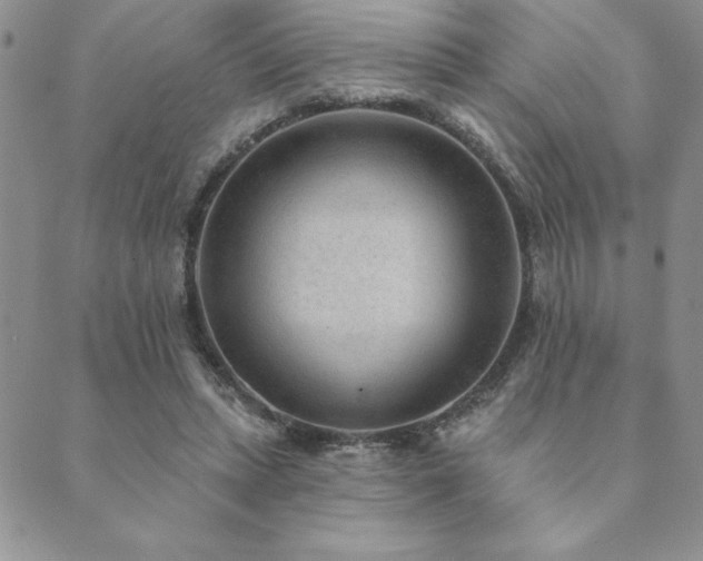 X0000089860447200706281255