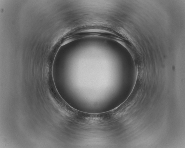 X0000089860448200706281255