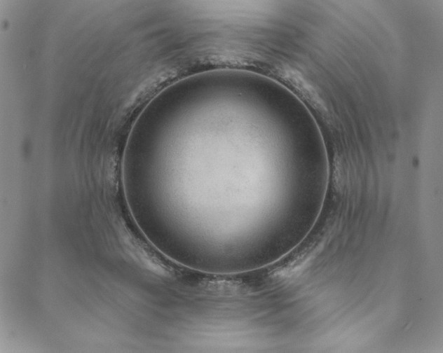 X0000089860449200706281255